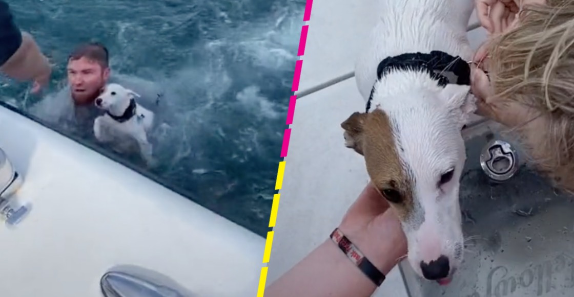 ¡Se rifaron! Rescatan a perrito que nadaba en pleno mar abierto de Florida