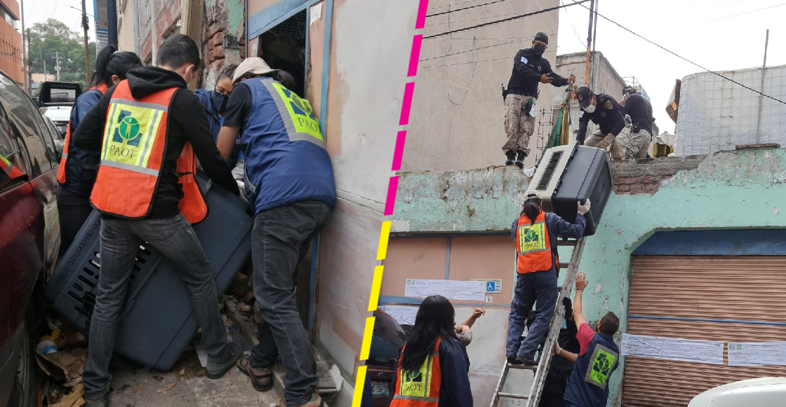 CDMX: Rescatan a 14 perritos maltratados gracias a un operativo en la colonia Obrera