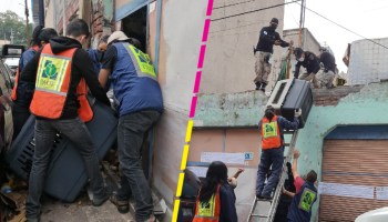 CDMX: Rescatan a 14 perritos maltratados gracias a un operativo en la colonia Obrera
