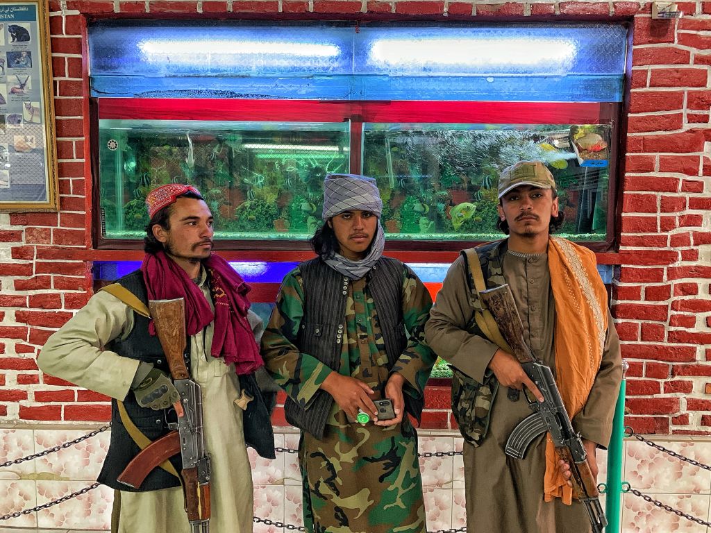 taliban-afganistan-gobierno