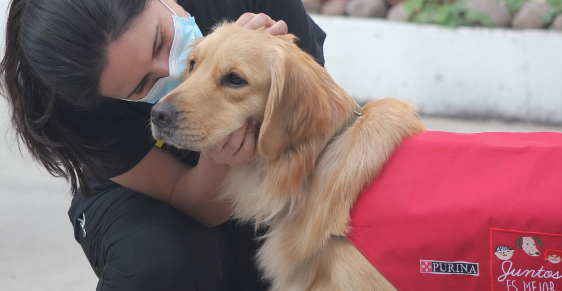 terapias-asistidas-perros