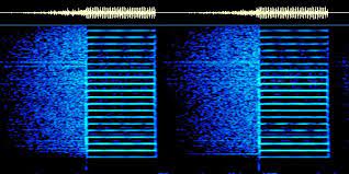 zumbido-estacion-rusia