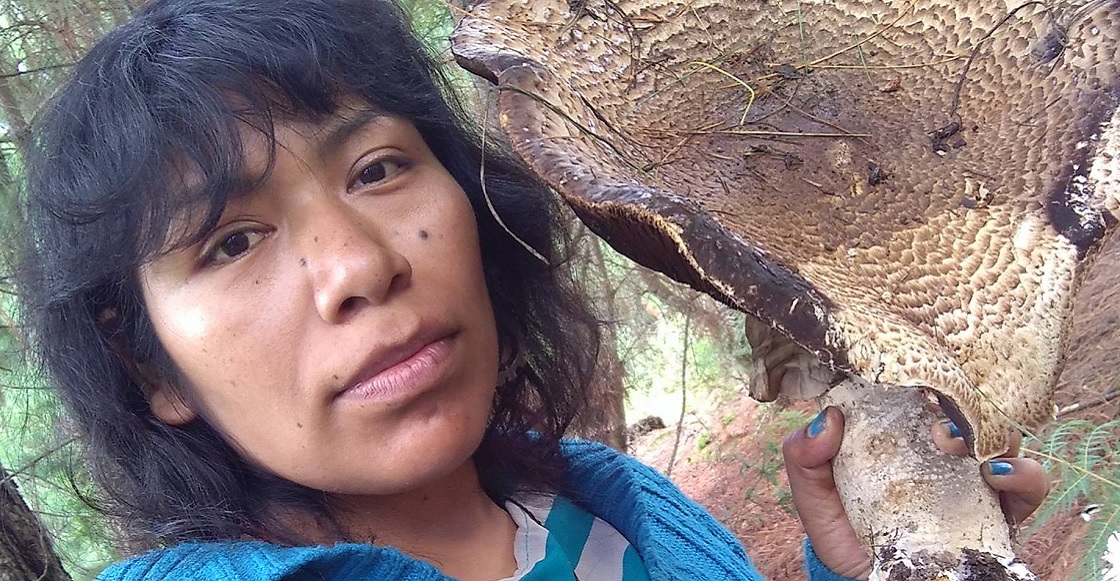 Irma Galindo defensora bosques oaxaca 1