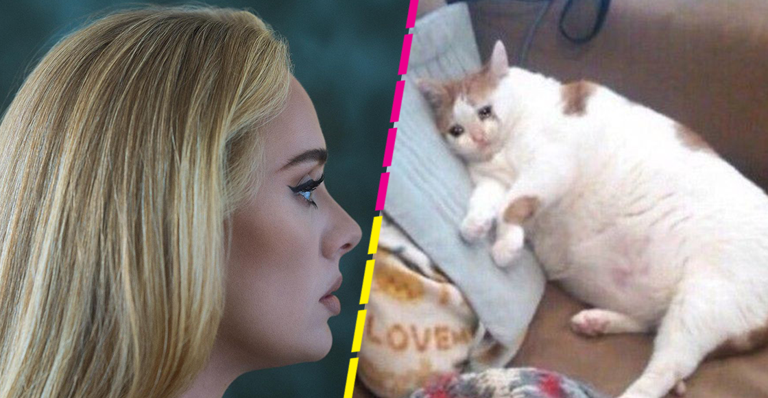 Adele por fin estrenó '30' y logró que el internet llorara a moco tendido