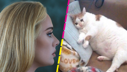 Adele por fin estrenó '30' y logró que el internet llorara a moco tendido