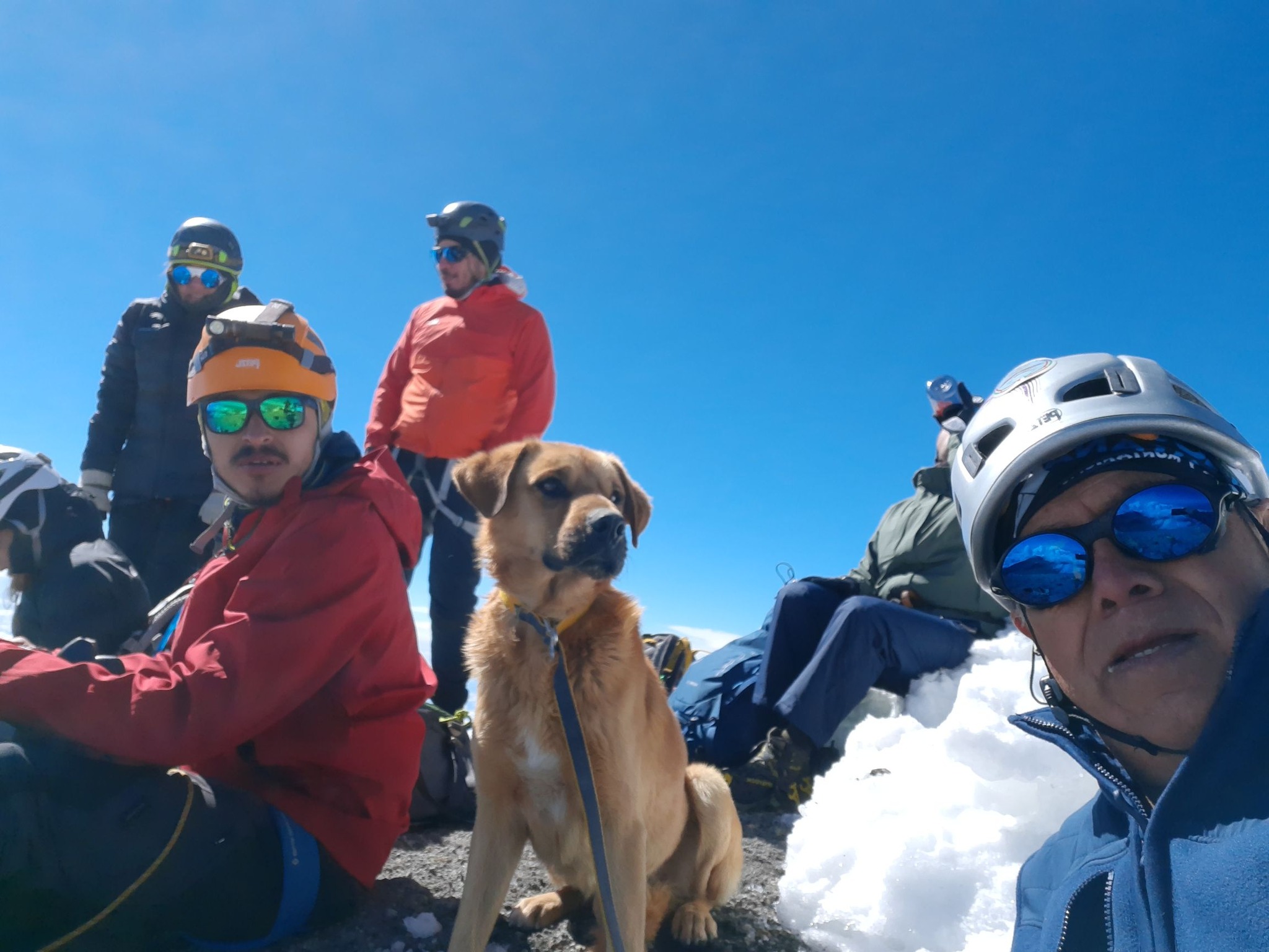 Alpinistas rescatan a un perrito en peligro en el Pico de Orizaba 