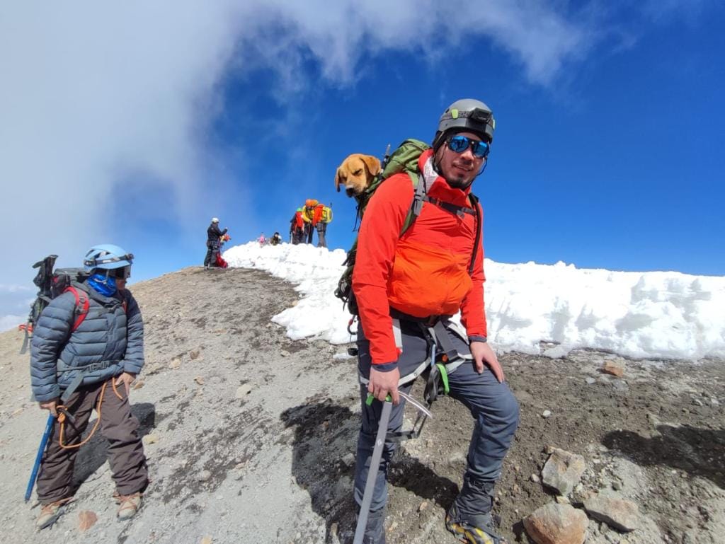 Alpinistas rescatan a un perrito en peligro en el Pico de Orizaba 
