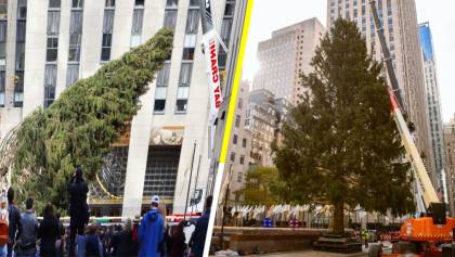 El árbol de Rockefeller Center inaugura oficialmente la temporada navideña