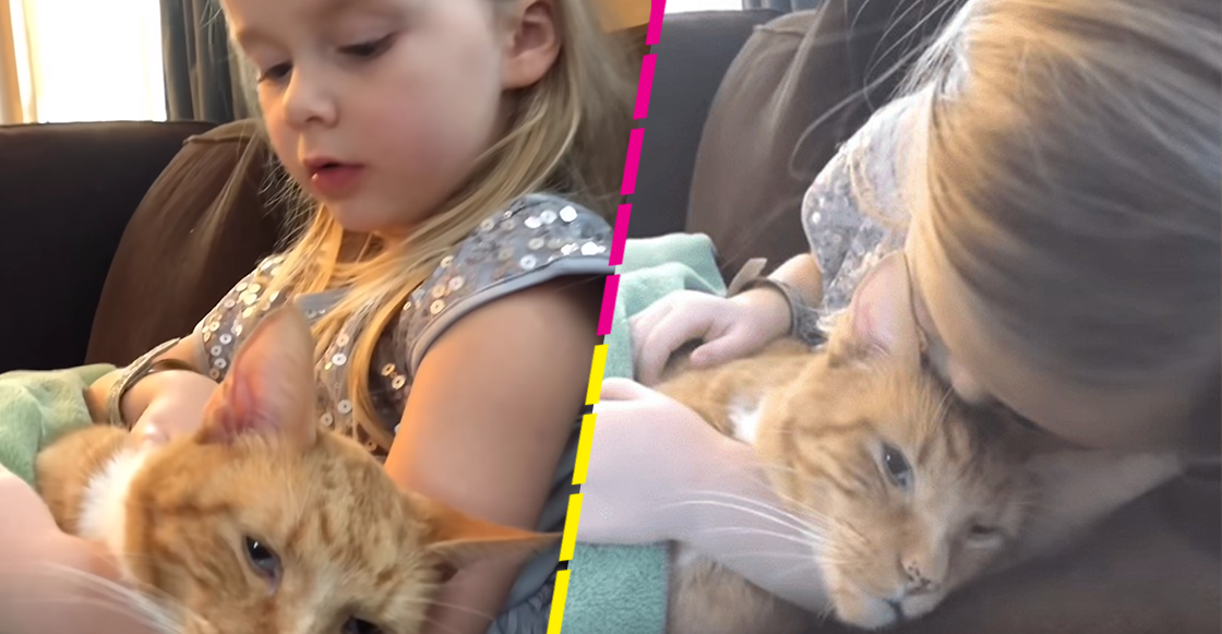 Así fue la conmovedora despedida de una niña y su gatito