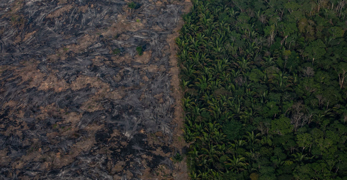 brasil-deforestacion-amazonia