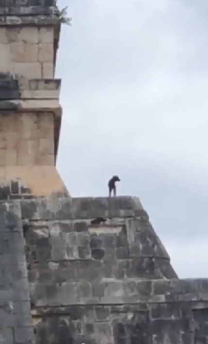Contemplando el paisaje: Captan a un perro en la cima de Chichen Itzá