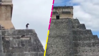 ¿Se le escapó a alguien? La verdad detrás del video de un perrito en la cima de Chichén Itzá