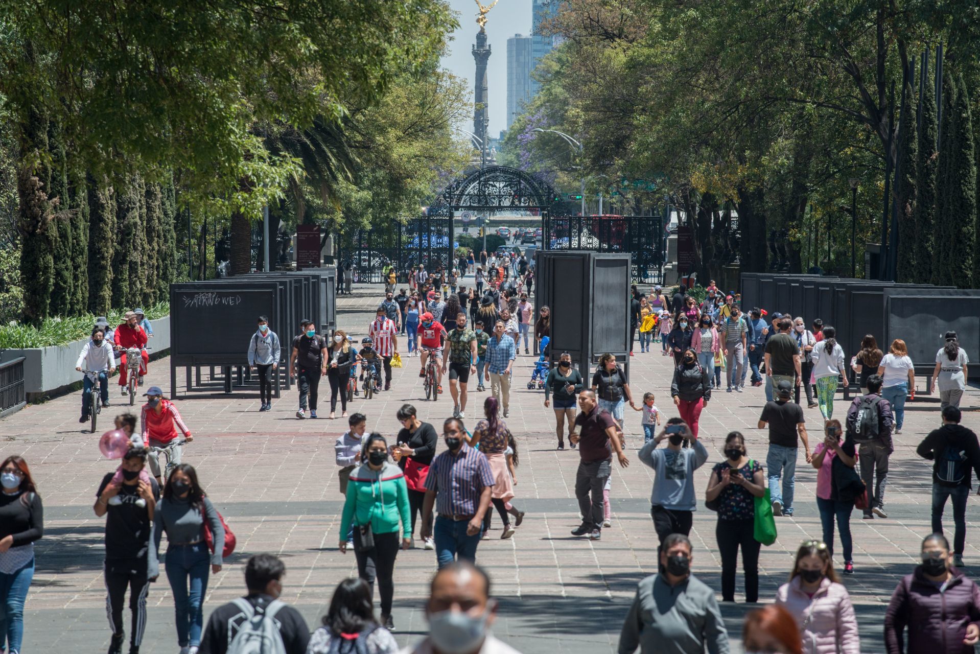 Eale: Australiana afirma que Central Park es la versión 'chafa' de Chapultepec 