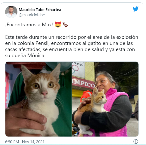 Encuentran con vida a Max, el gatito que se había extraviado tras explosión de Pensil Norte en CDMX