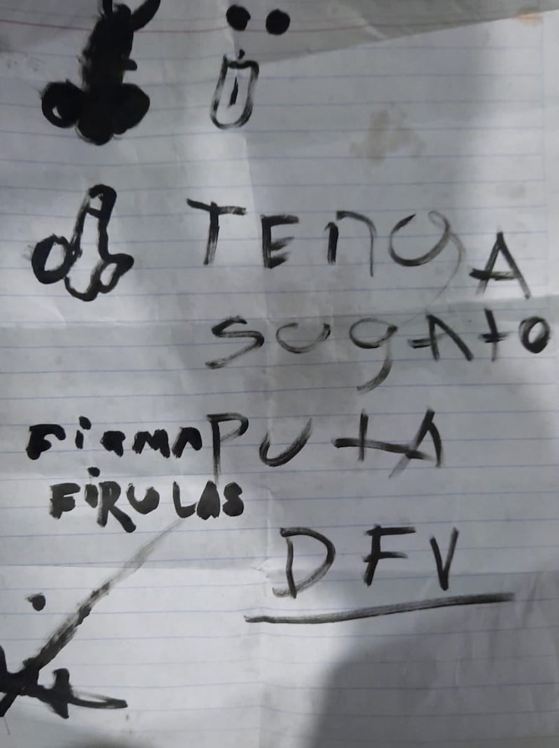 gatita-justicia-zacatecas-maltrato-animal