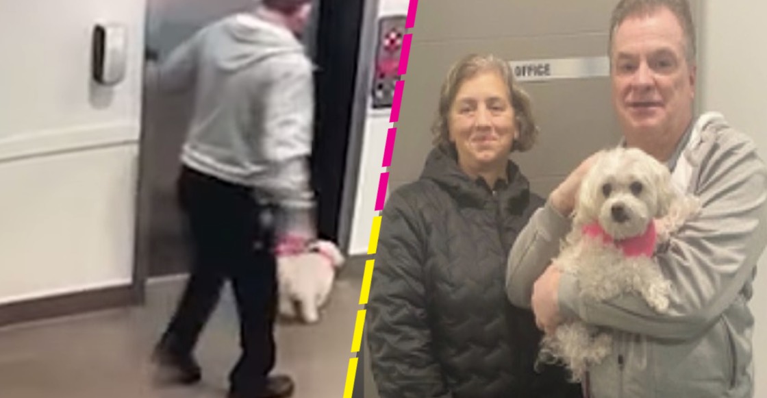 Héroe sin capa: Hombre evita que una perrita fuera ahorcada por un elevador