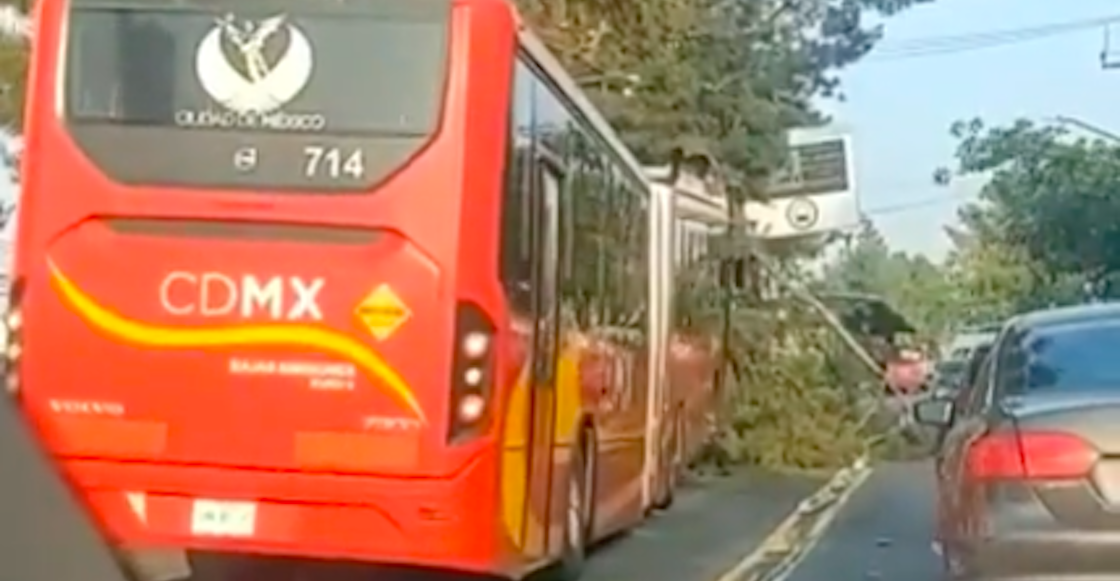 metrobus-choca-contra-arbol-cdmx