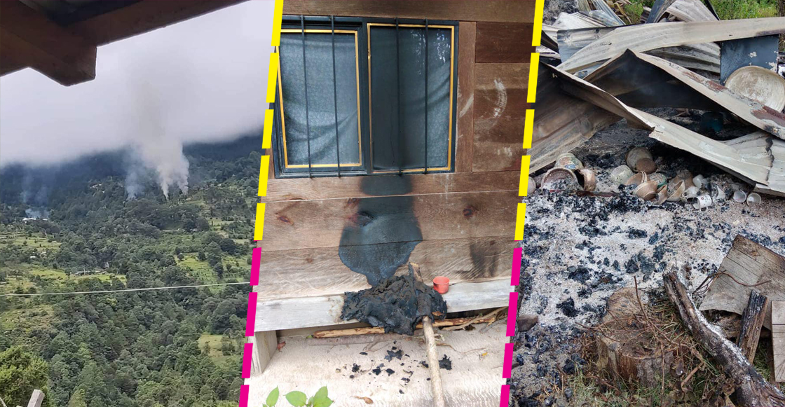 oaxaca-violencia-bosques