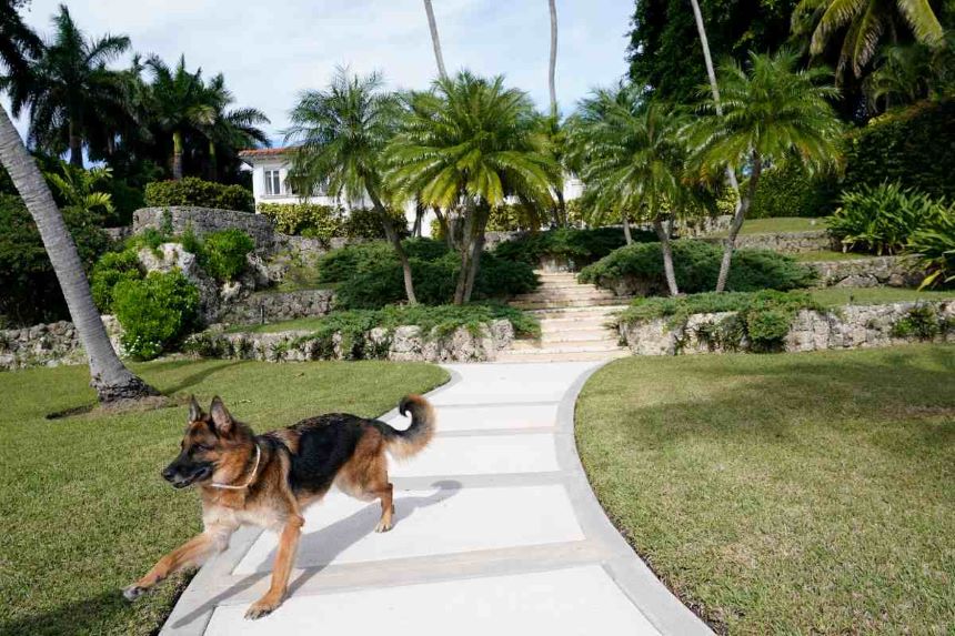 La historia detrás de ‘Gunther VI’, el perro millonario que vende su mansión en Miami