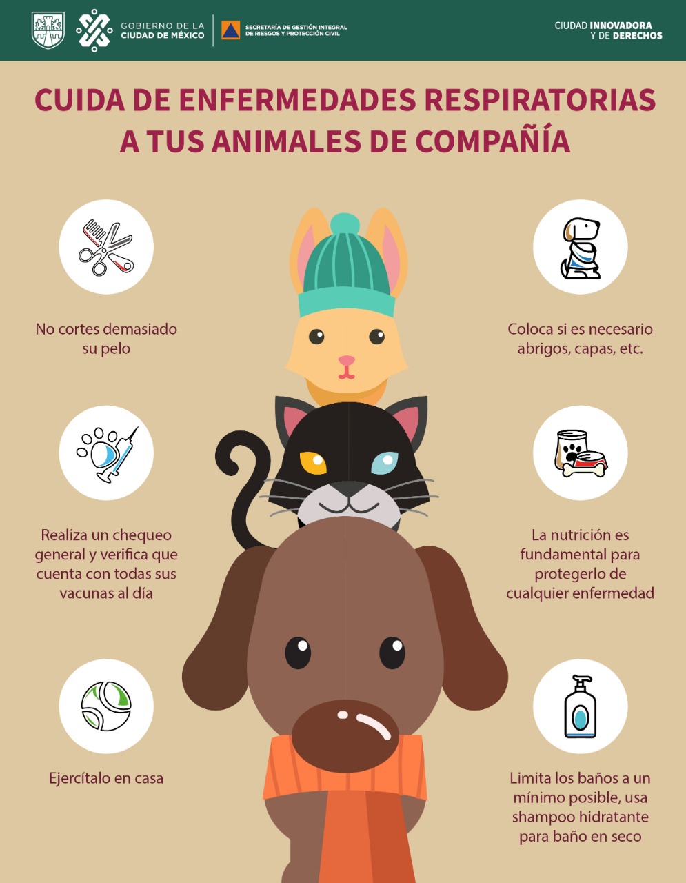 perros-mascotas-recomendaciones-frio