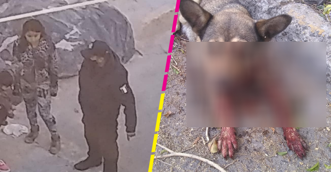 Buscan a policía del Edomex que le habría disparado a una perrita ¡por ladrale!