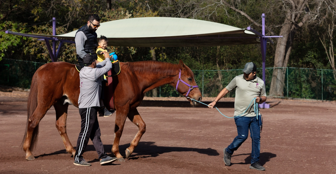 un-dia-para-dar-undiaparadar-organizaciones-10-lista-donar-opciones-sopitas-07