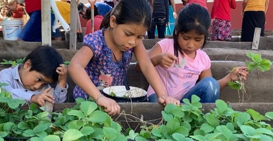 un-dia-para-dar-undiaparadar-organizaciones-10-lista-donar-opciones-sopitas-08