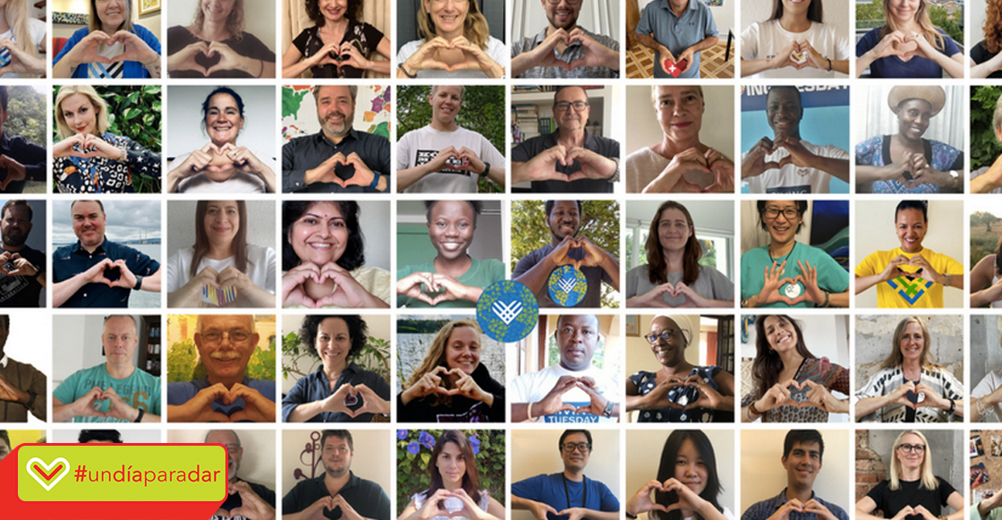 un-dia-para-dar-undiaparadar-organizaciones-10-lista-donar-opciones-sopitas