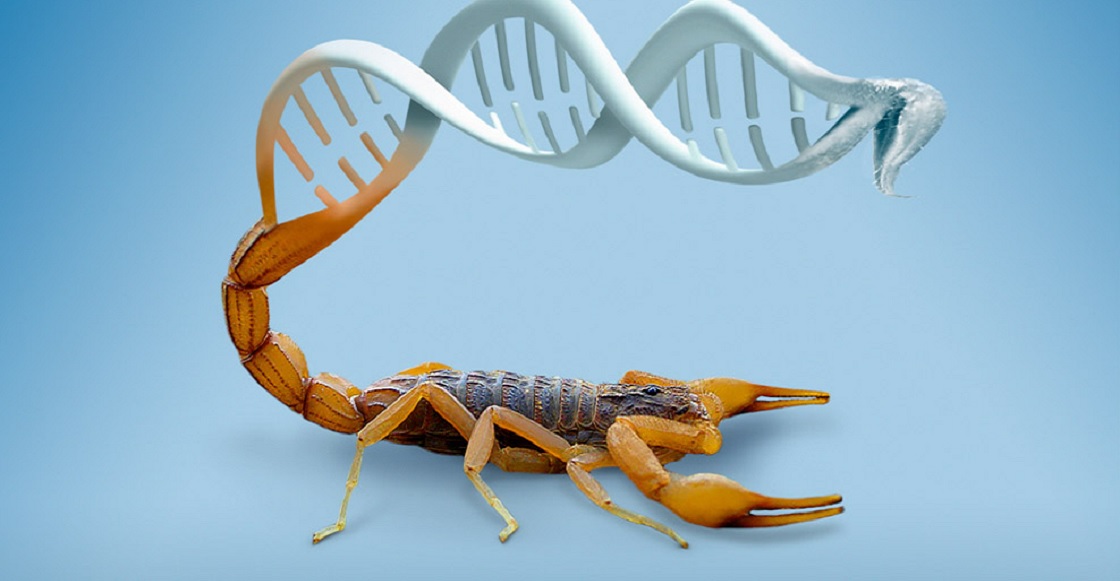 Federico del Río Portilla UNAM cancer metastasis 1