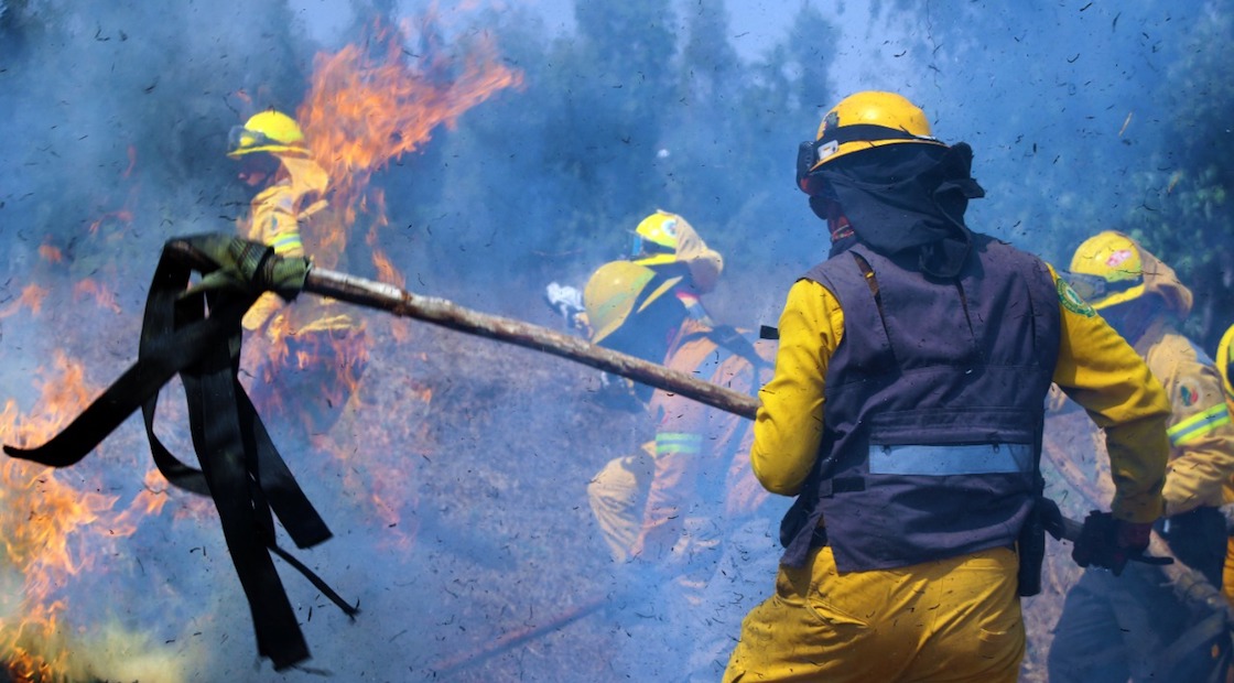 brigadistas-incendios-forestales-cdmx