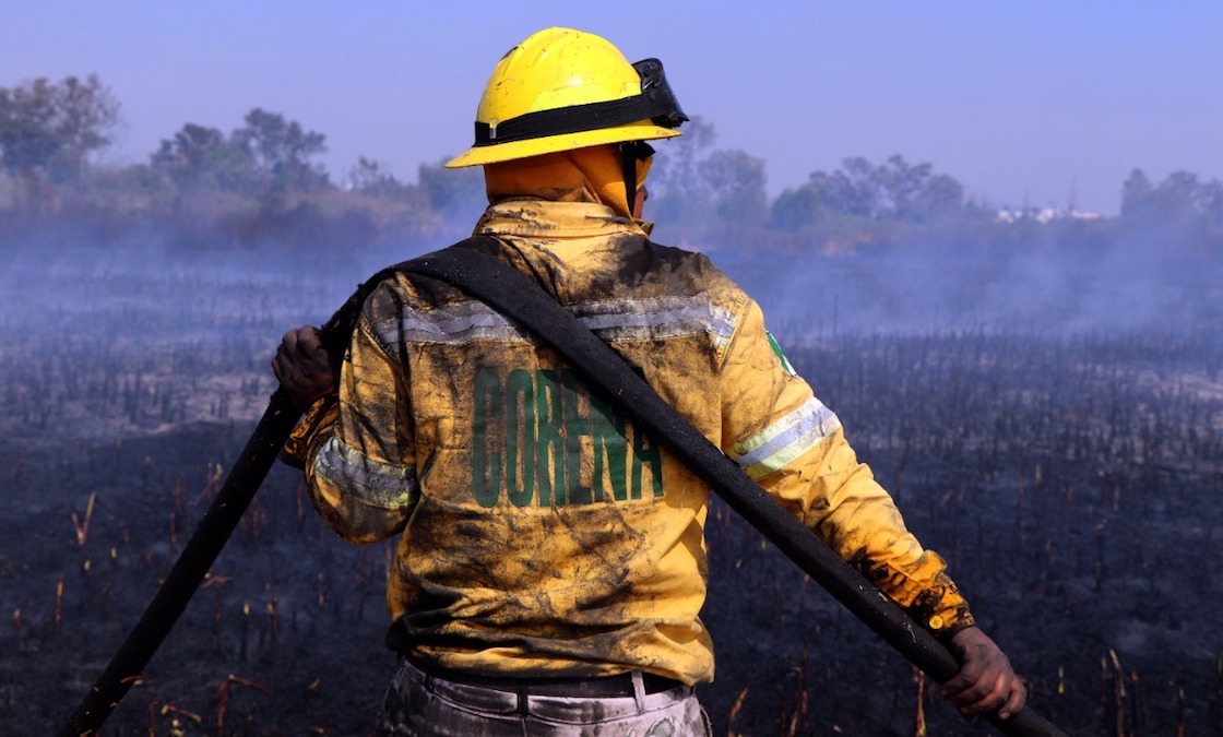 brigadistas-mas-dos-incendios-forestales-año-cdmx