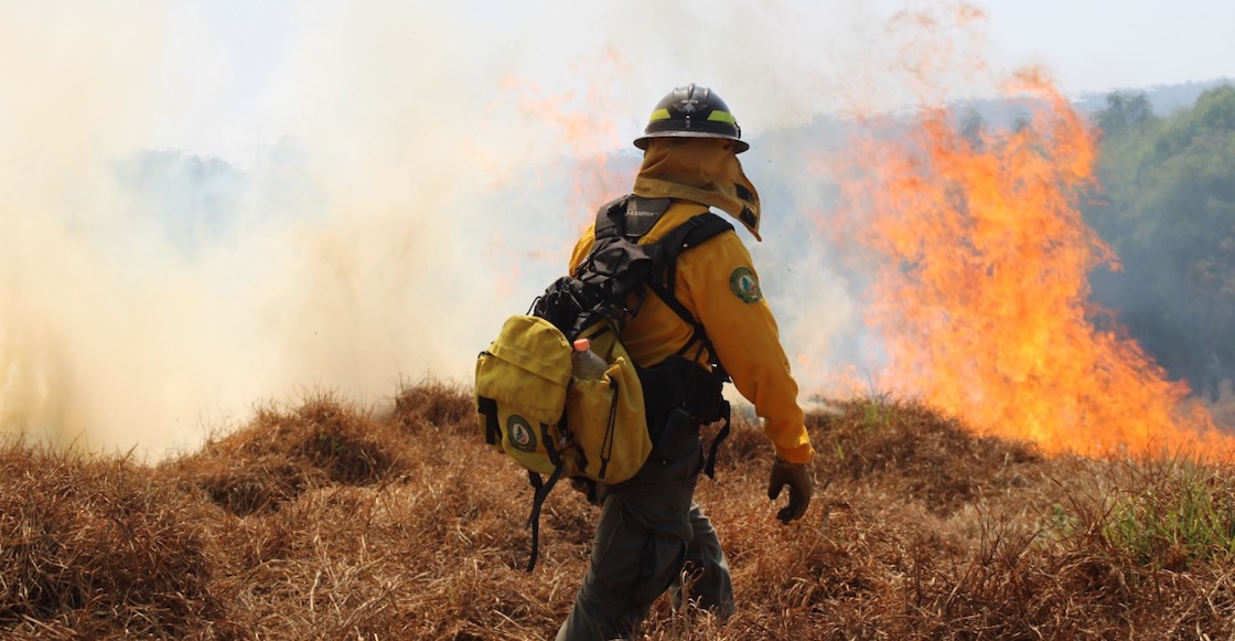brigadistas-sedema-cdmx-incendios