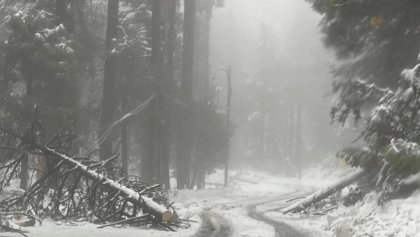 california-emergencia-tormenta-invernal
