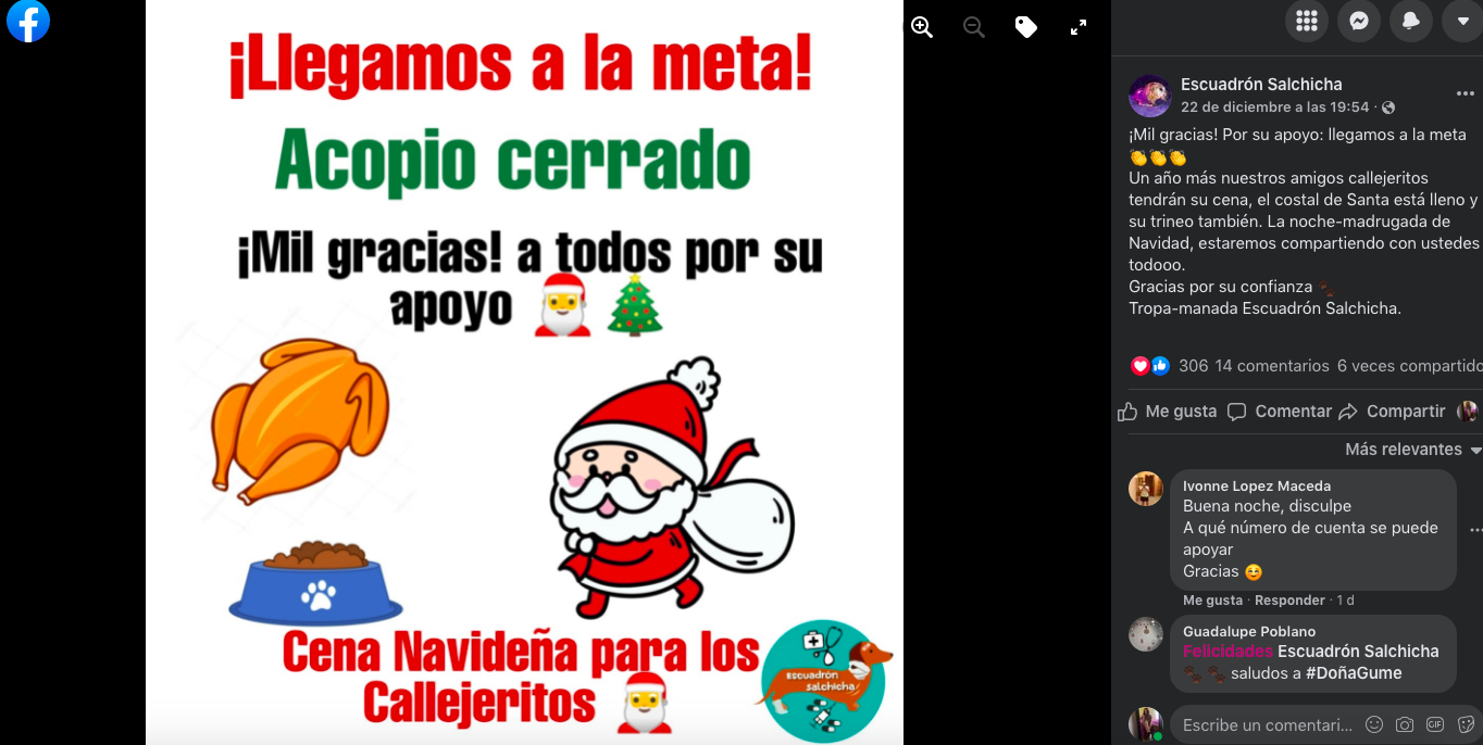 ¡Suave Navidad! Refugio en Ecatepec le arma una cena navideña a perritos callejeros 