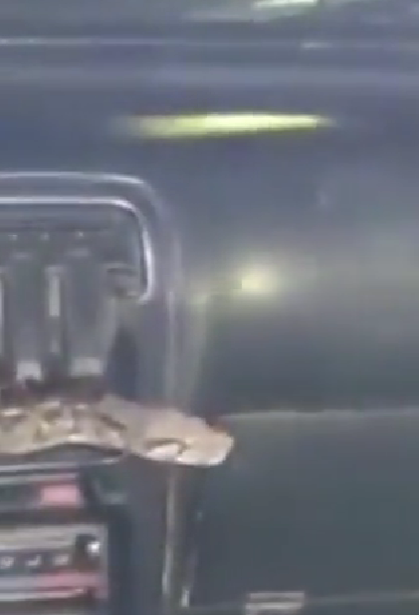 Encuentran una serpiente de 2 metros en un taxi de Oaxaca