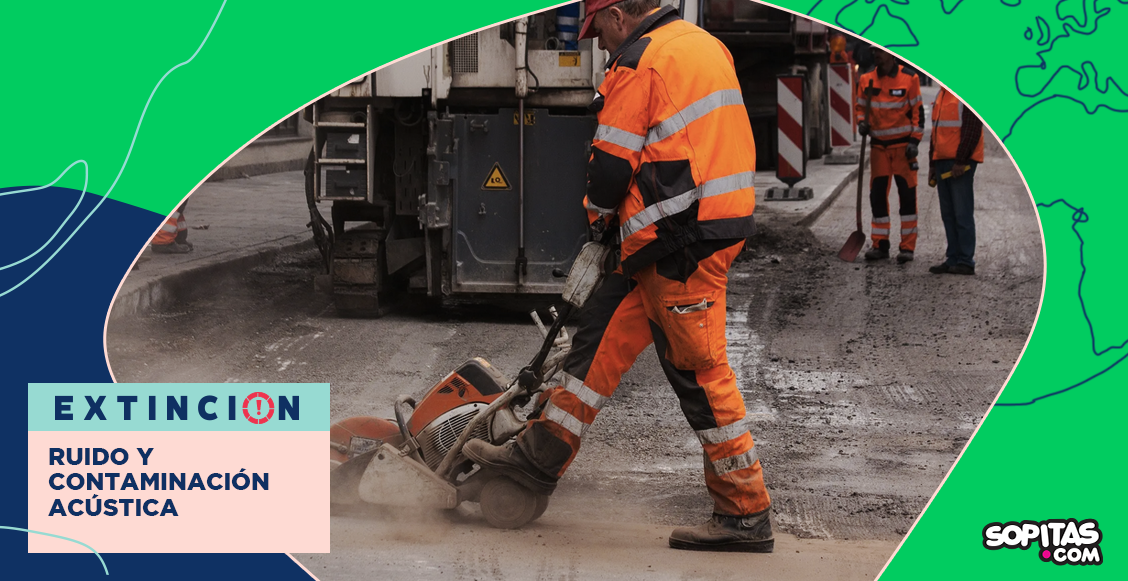 extincion-ruido-contaminacion-acustica