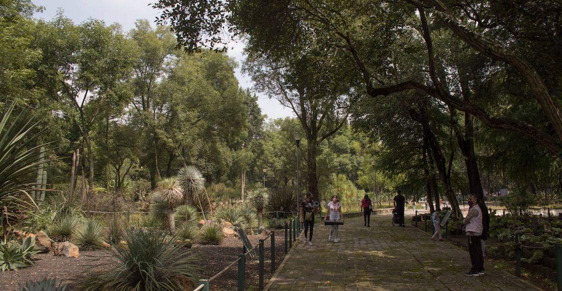 jardin-botanico-cdmx-chapultepec-diciembre