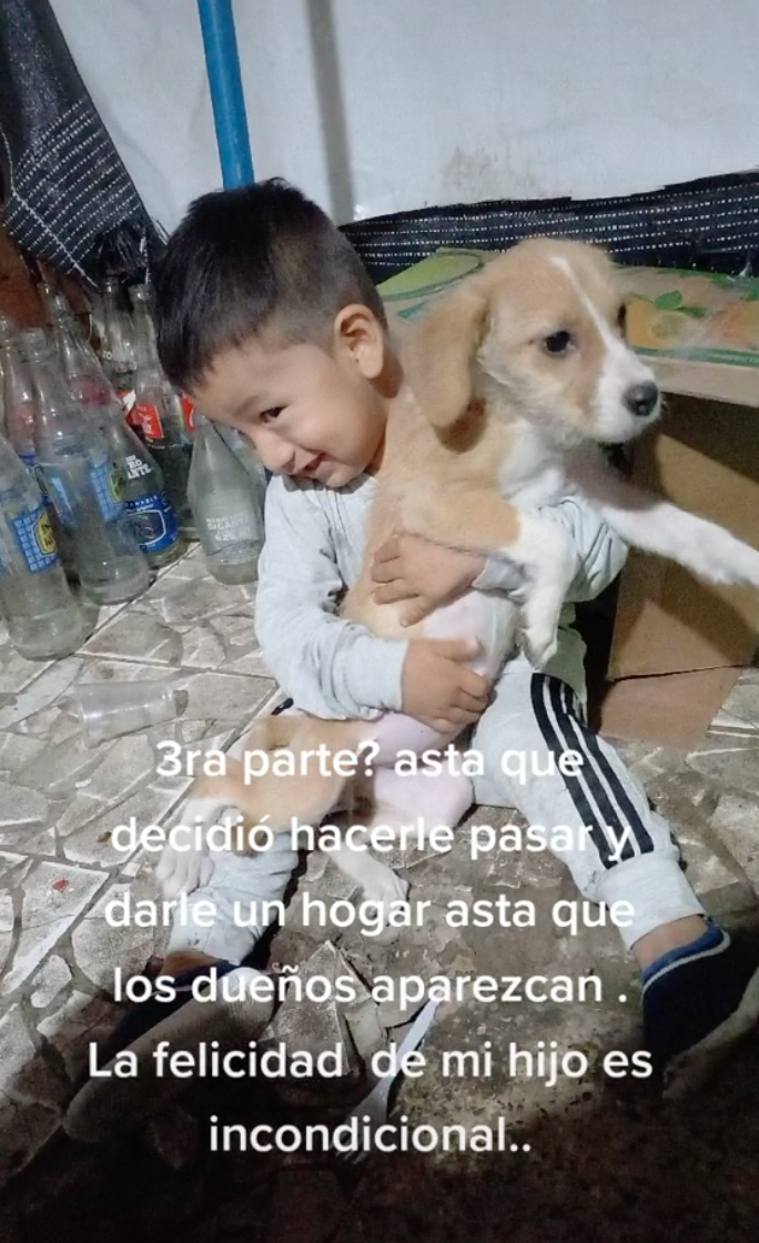 Niño salva a perrito que conoció en la calle y se hace viral