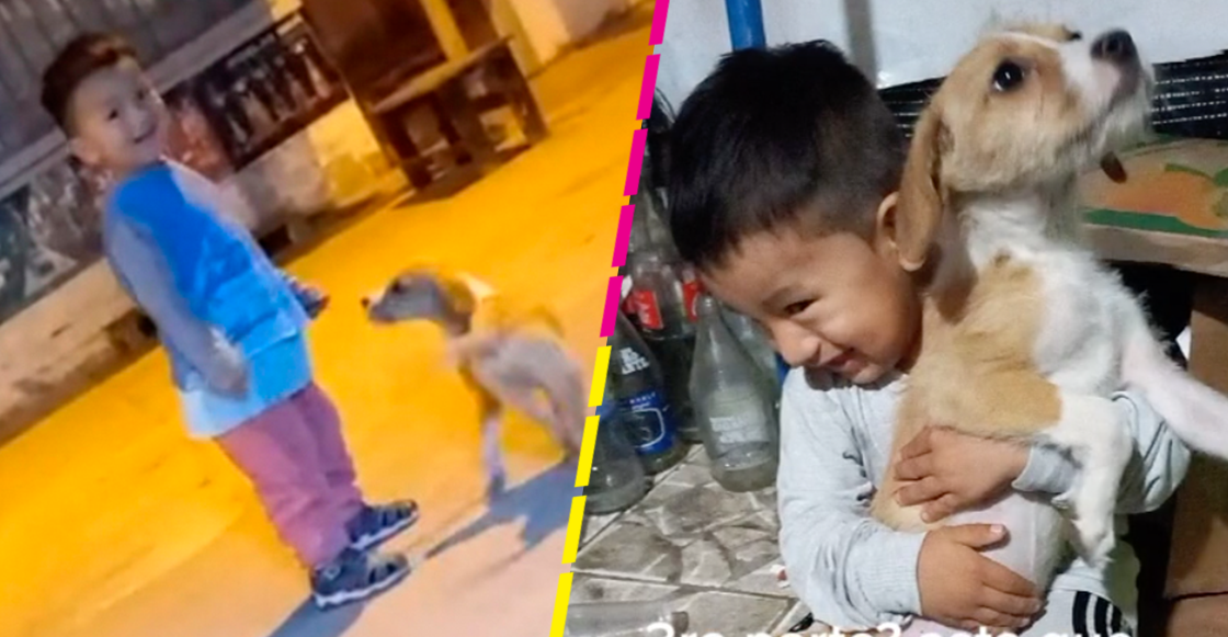 Niño salva a perrito que conoció en la calle y se hace viral