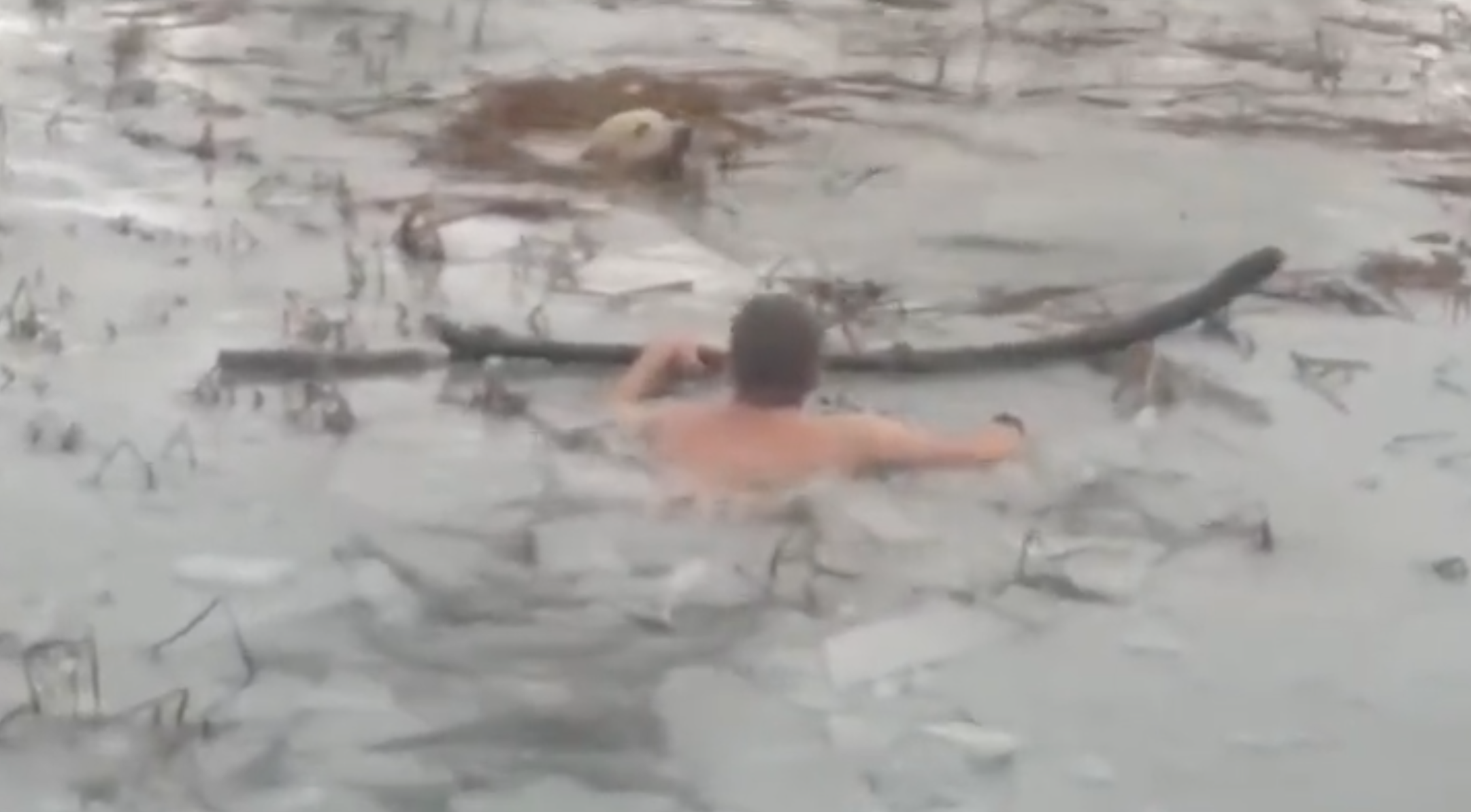 ¡Qué rifados! Policías salvan a un perrito que estaba atrapado en un lago congelado