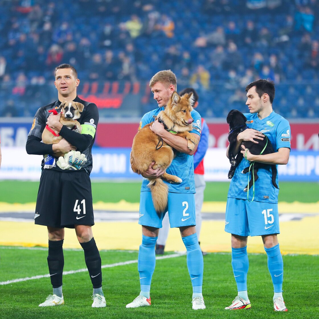 Suave partido: Jugadores del Zenit saltaron a la cancha con perritos para promover su adopción