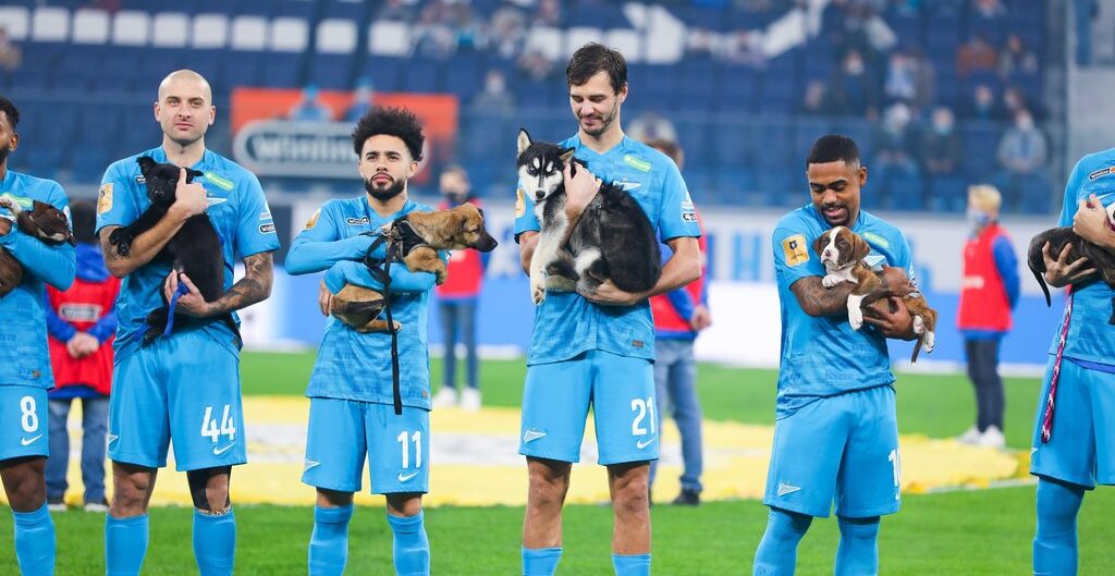 Suave partido: Jugadores del Zenit saltaron a la cancha con perritos para promover su adopción