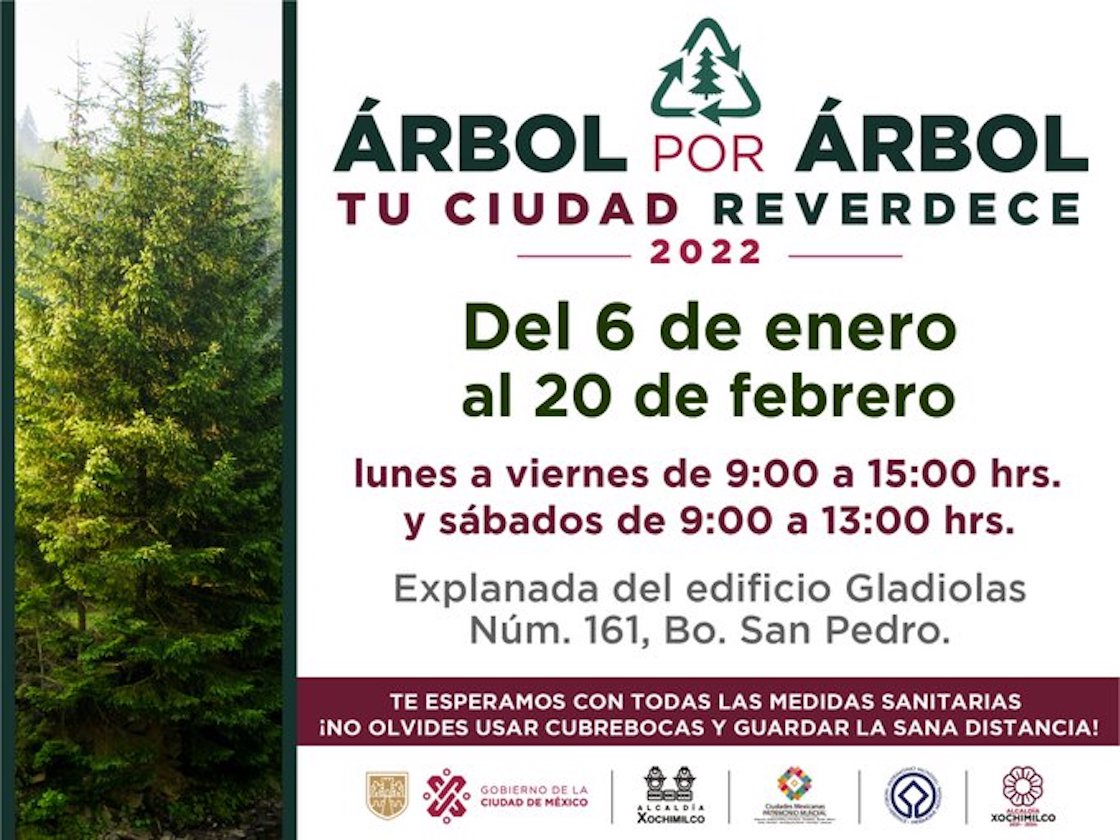 arbol-navidad-cdmx-xochimilco.