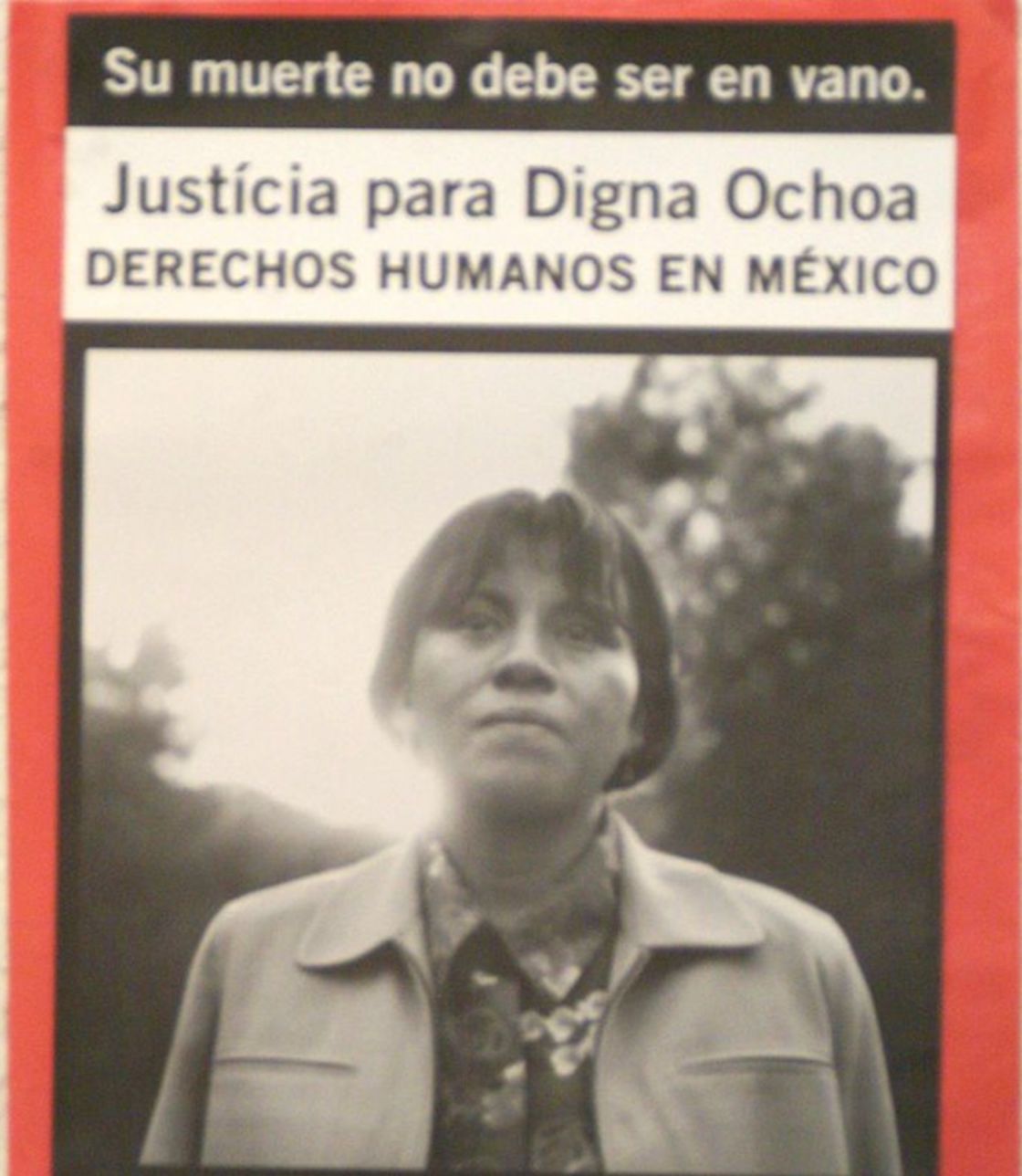 digna-ochoa-caso-abogada-supuesto-suicidio