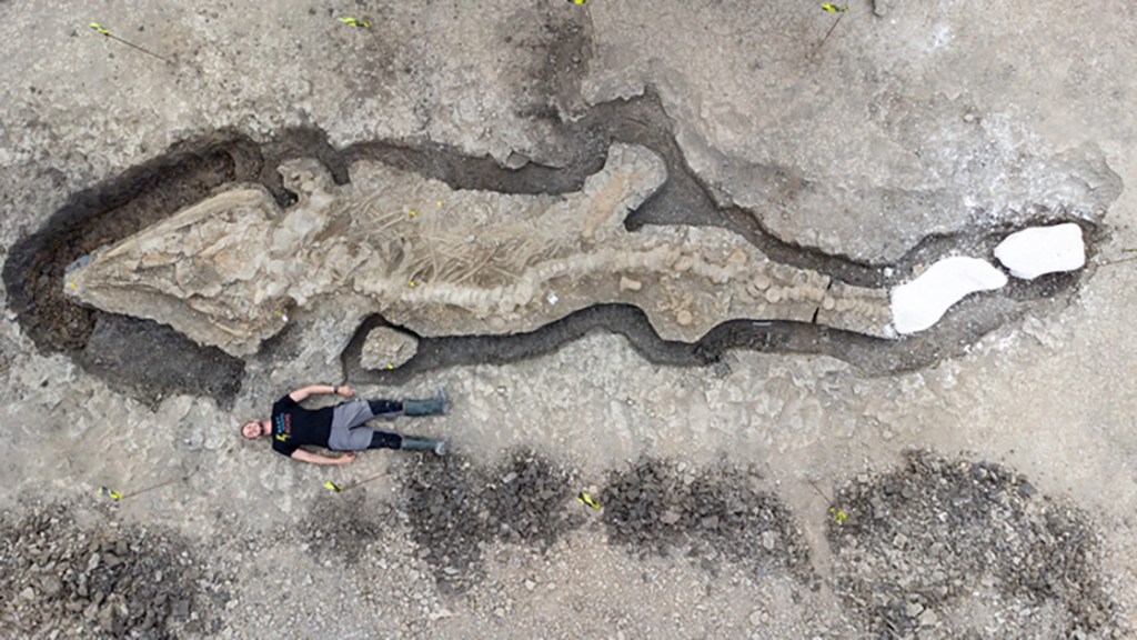 Los dragones no exis... Encuentran fósil gigante de 180 millones de años