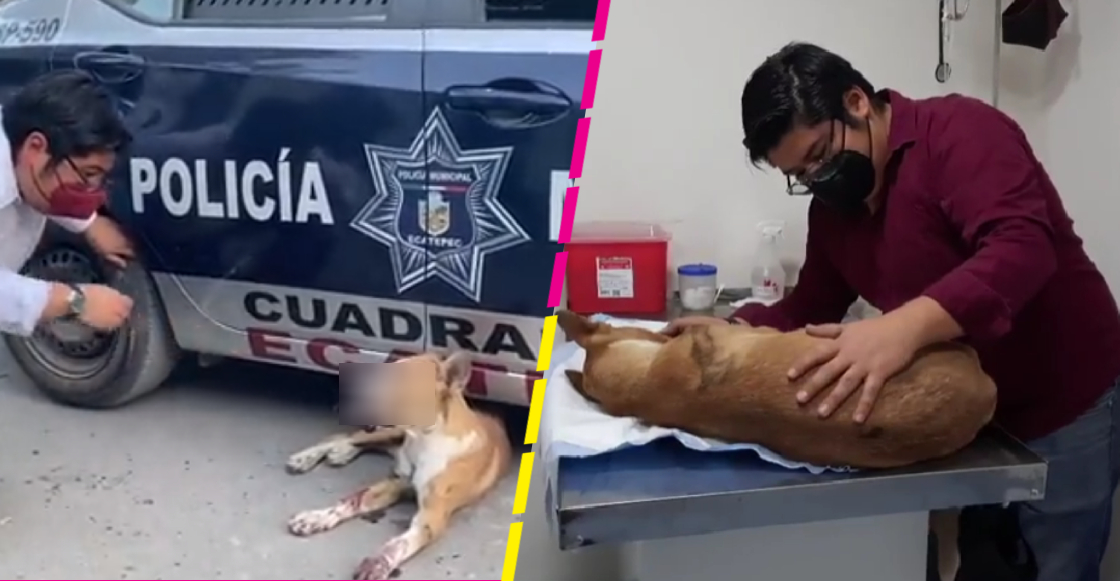 "Estábamos drogándonos": Detienen a sujeto que explotó pirotecnia en el hocico de un perrito en Ecatepec
