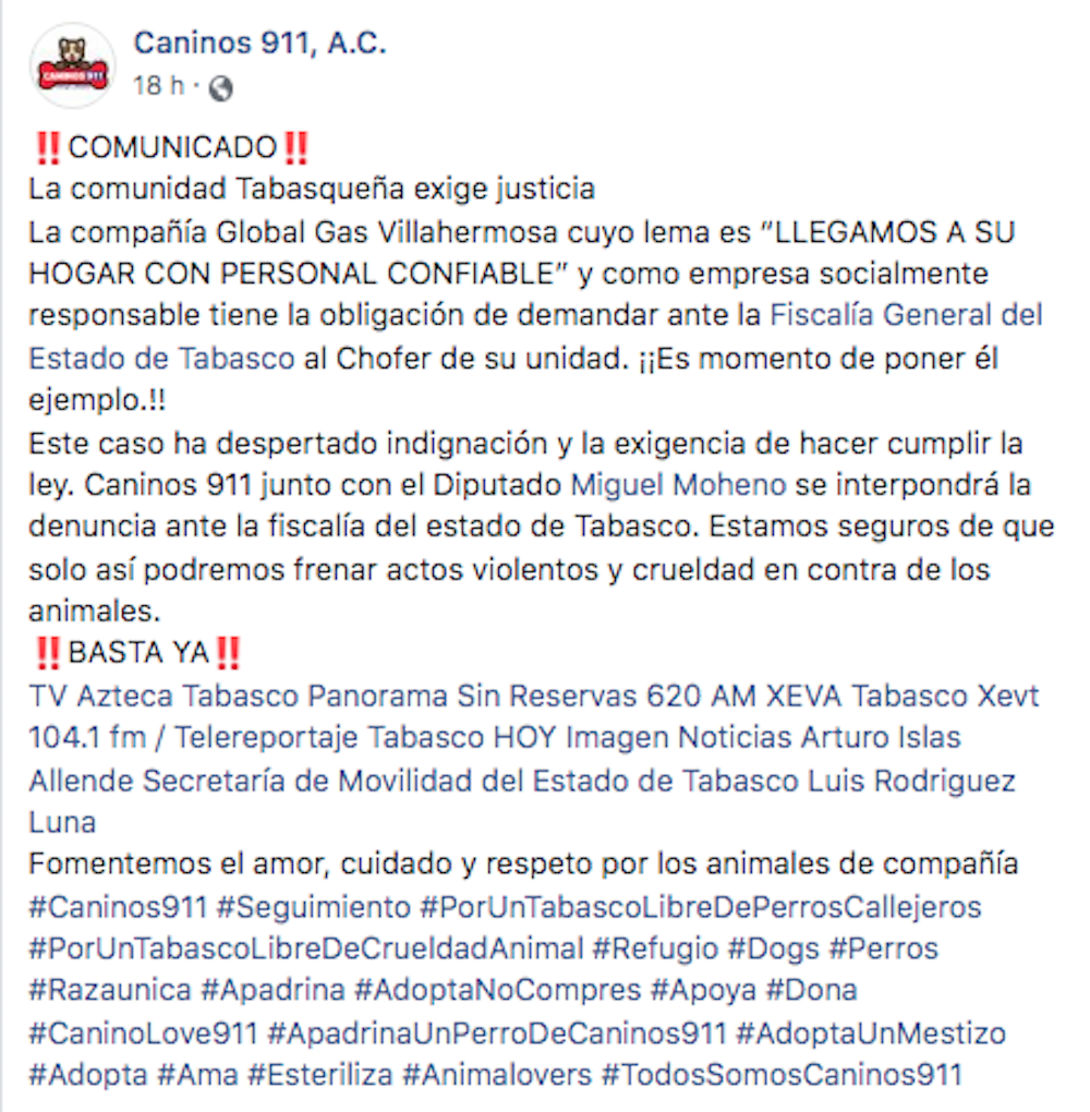 firus-perrito-tabasco-gas