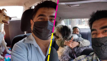¡Un crack! Hombre se hace viral por conducir un taxi para mascotas en la CDMX