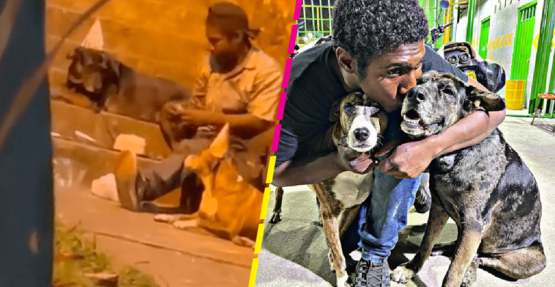 Hombre sin hogar que festejó cumpleaños de sus perritos es recibido en un refugio