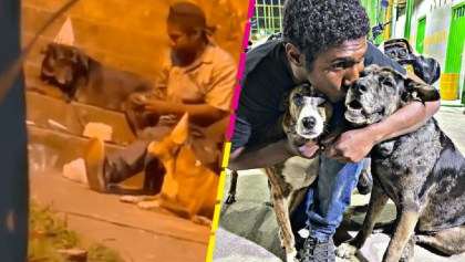 Hombre sin hogar que festejó cumpleaños de sus perritos es recibido en un refugio